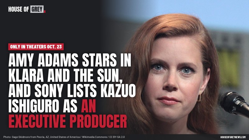 Amy Adams seated at a San Diego Comic-Con panel microphone